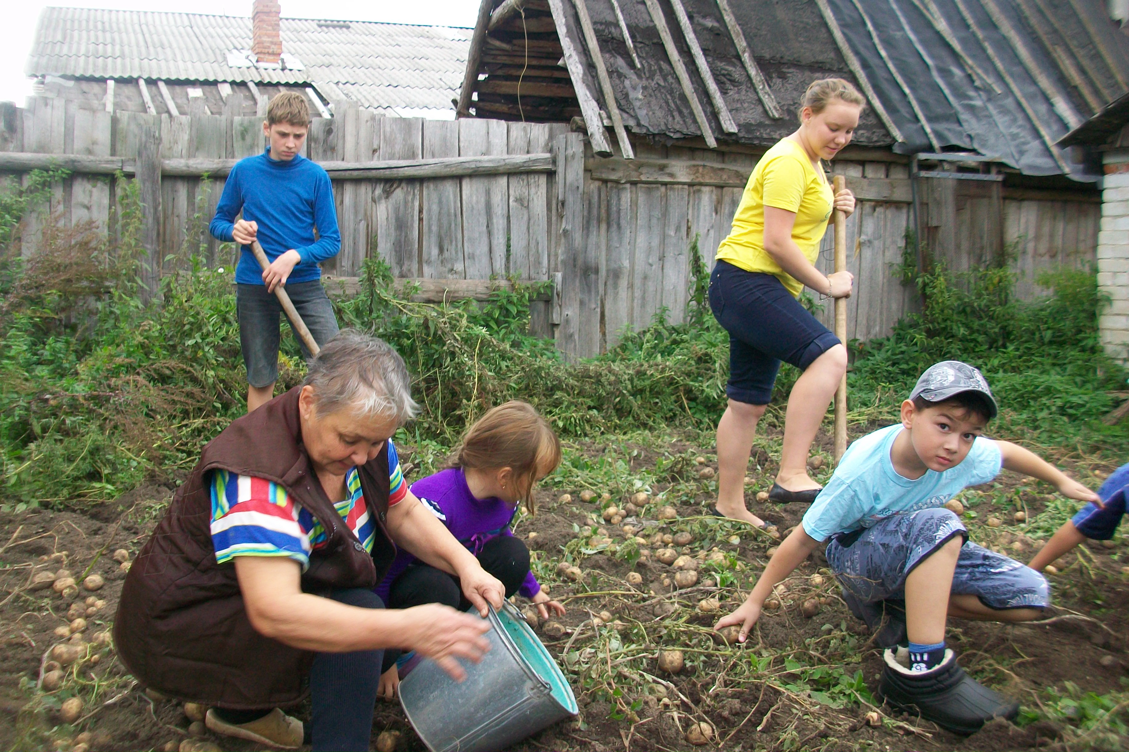 Новости 2012г.